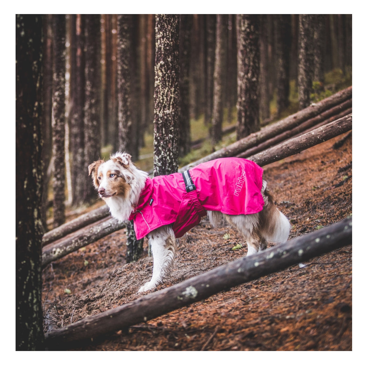 Hase Raincoat Raspberry