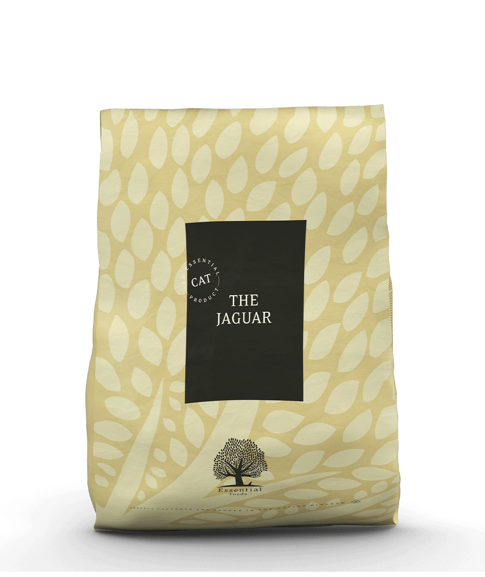 The Jaguar 12kg