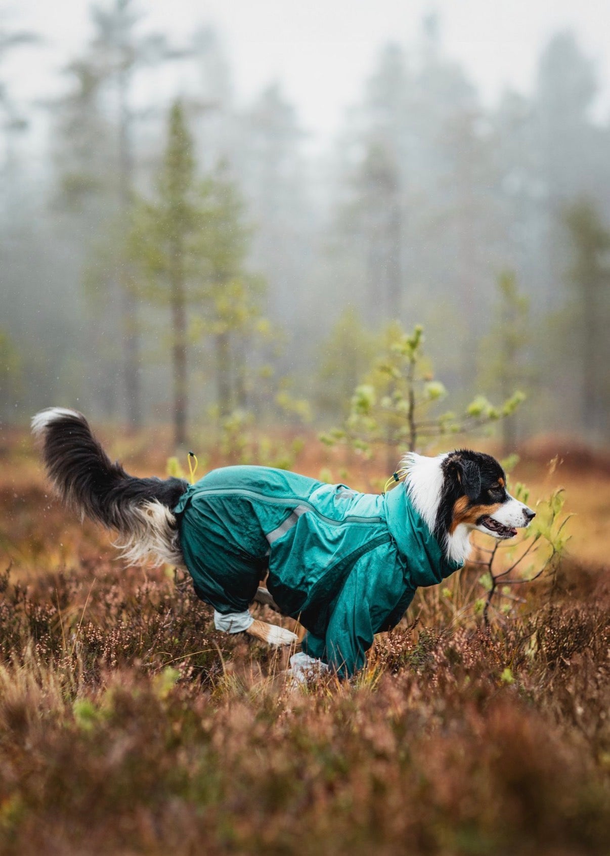 Fjord Overall Raincoat Teal