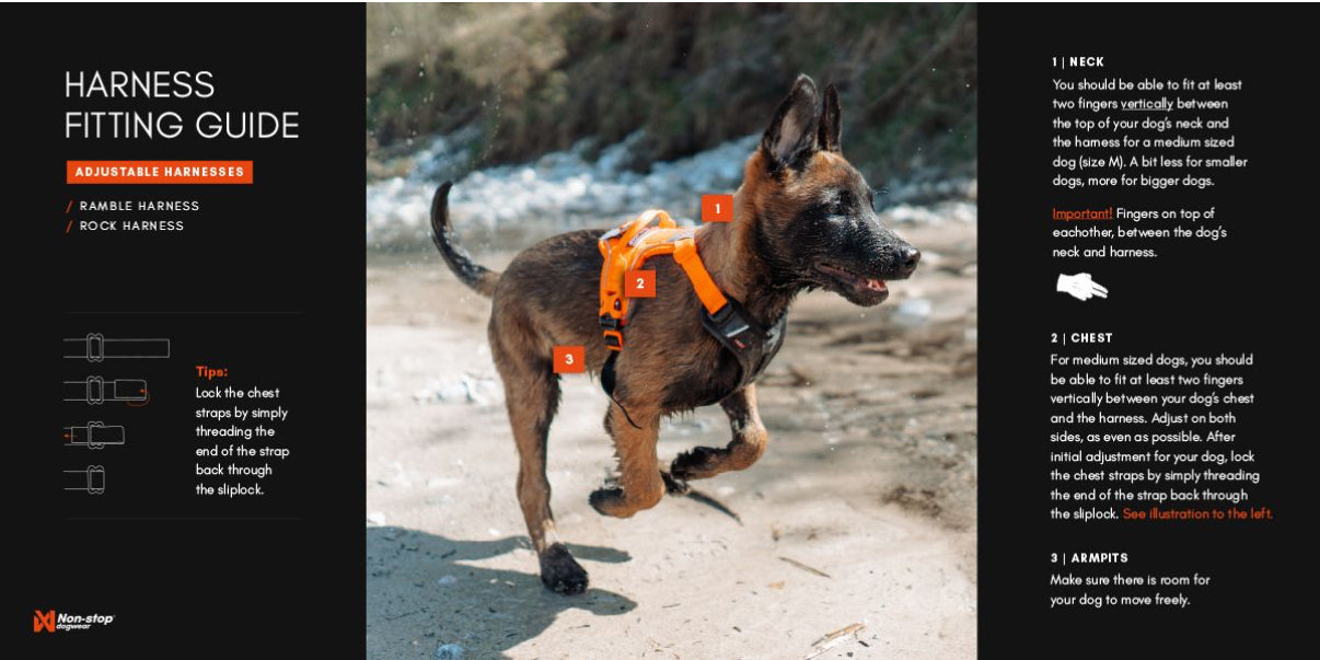Ramble Harness Purple