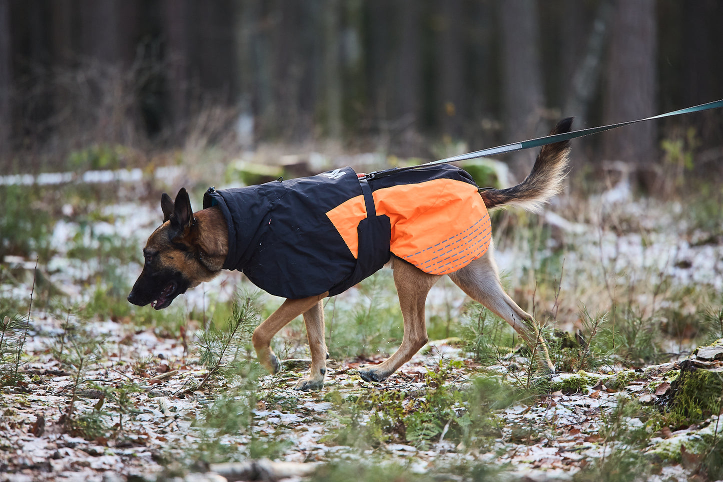 Glacier Jacket 2.0
