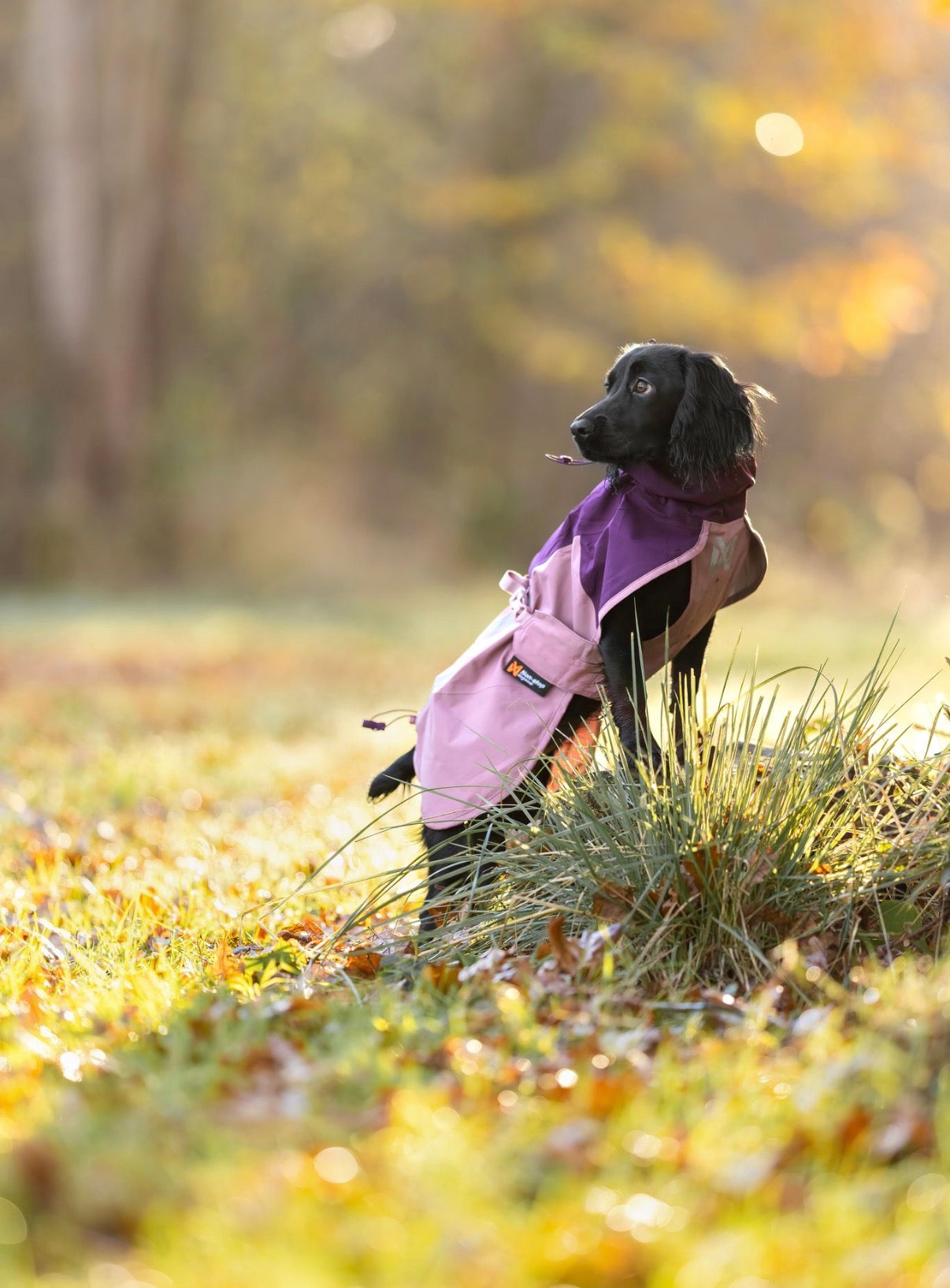 Fjord Raincoat 2.0 Mauve