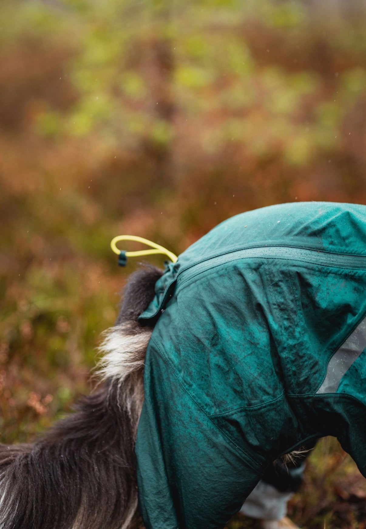 Fjord Overall Raincoat Teal