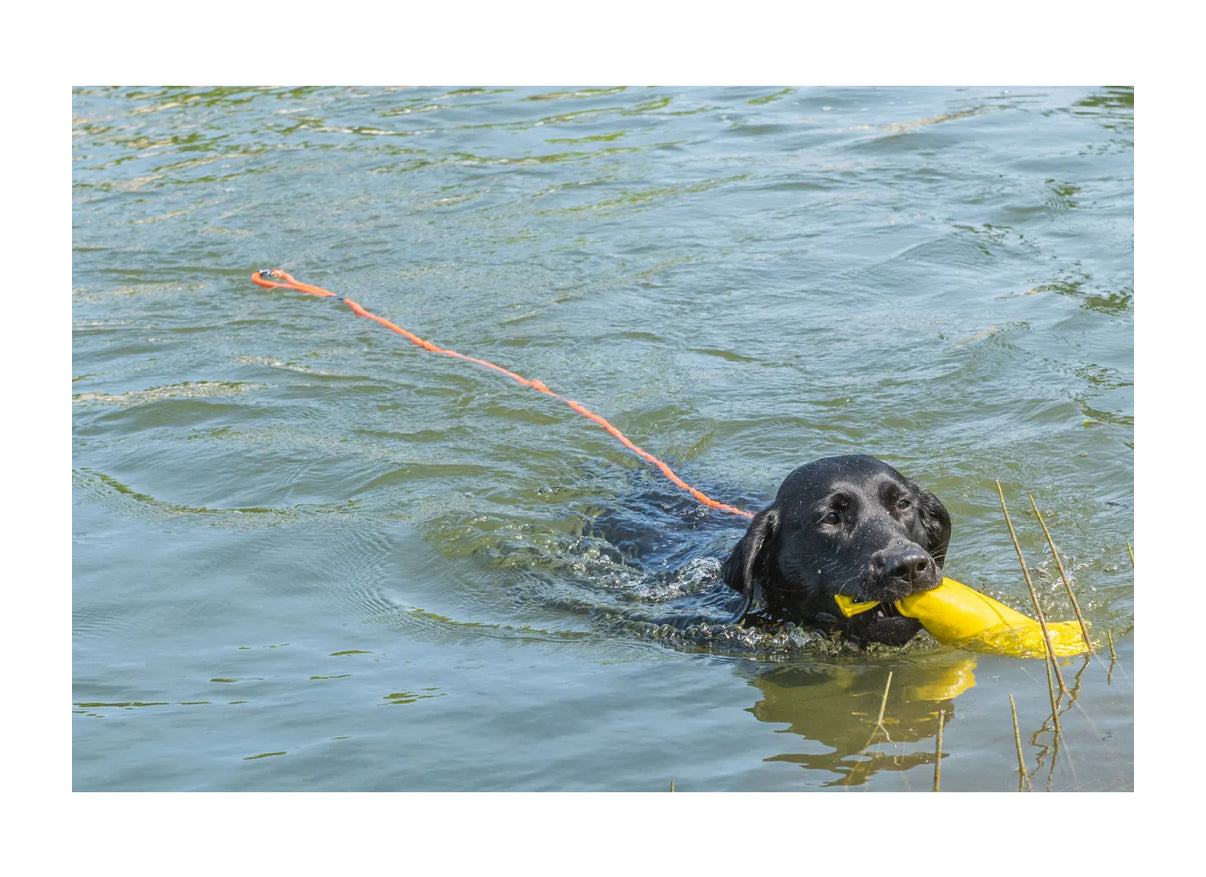 Swim Leash