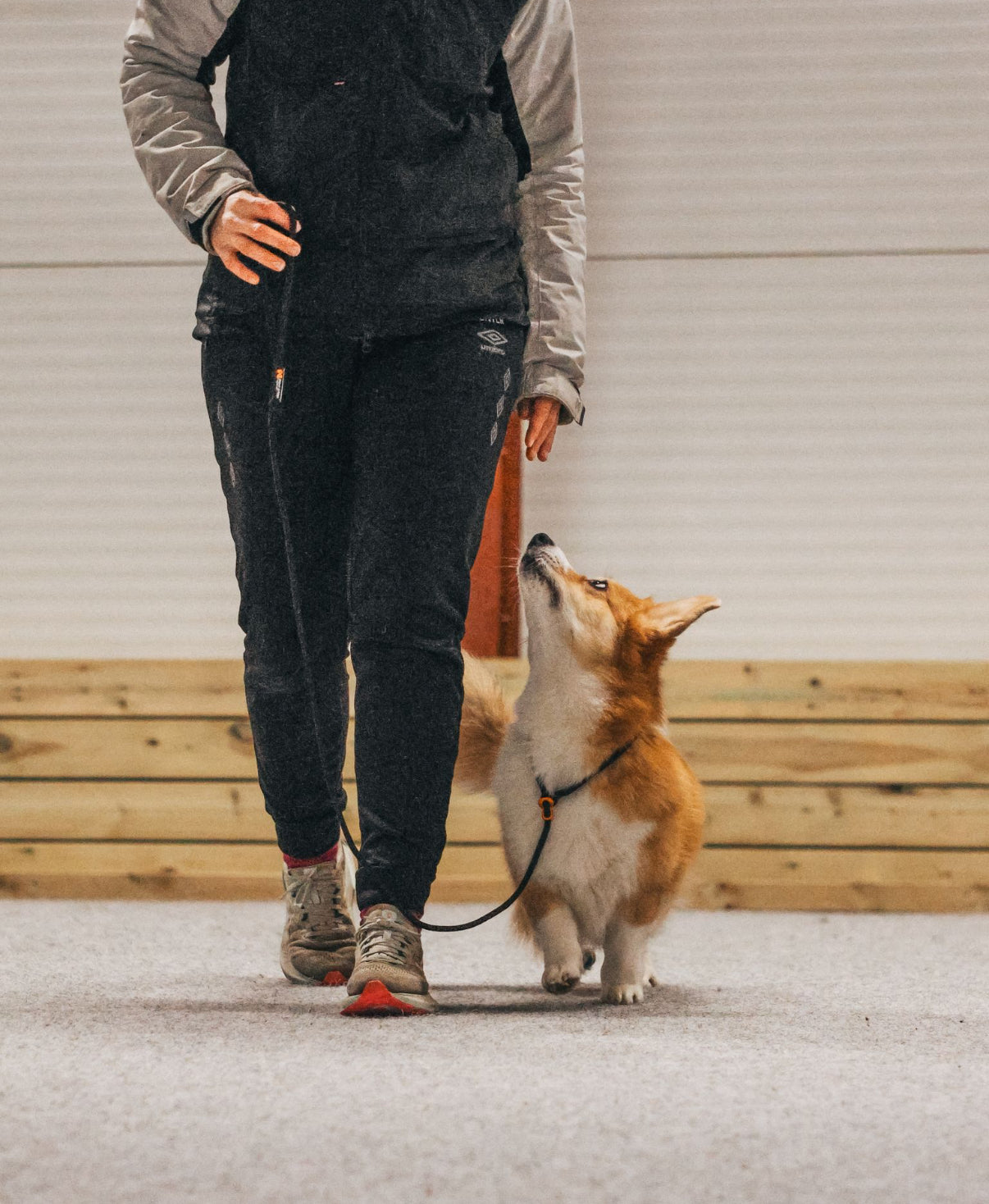 Retriever Leash