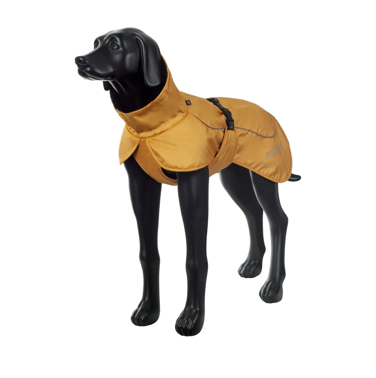 Stormy Coat Apricot