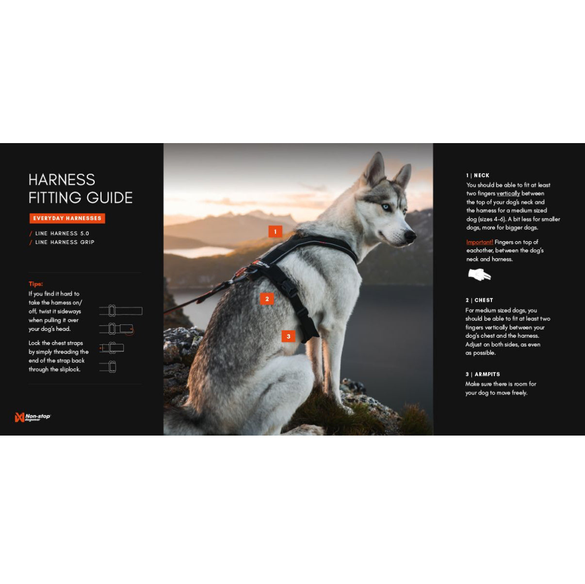 Line Harness 5.0 Orange