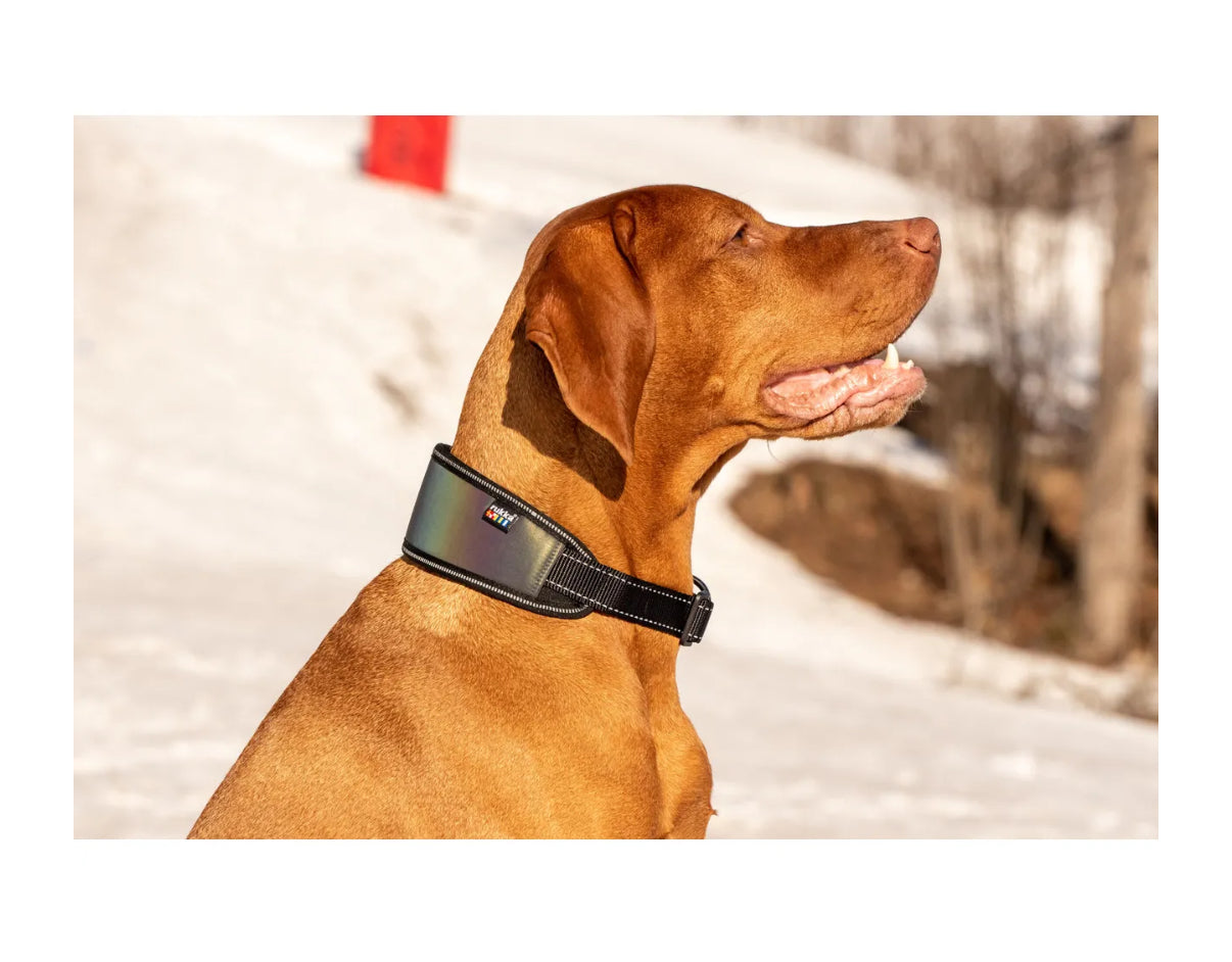 Luminous soft collar