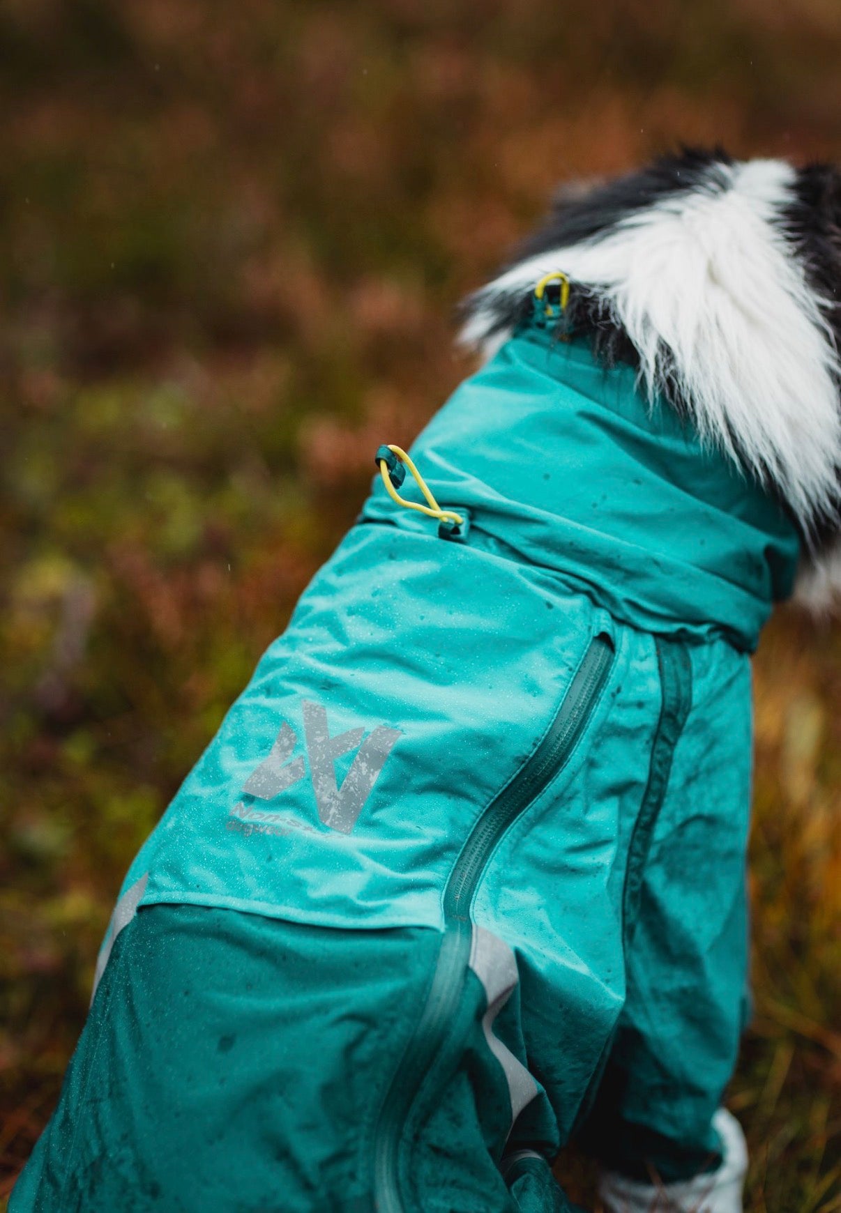 Fjord Overall Raincoat Teal