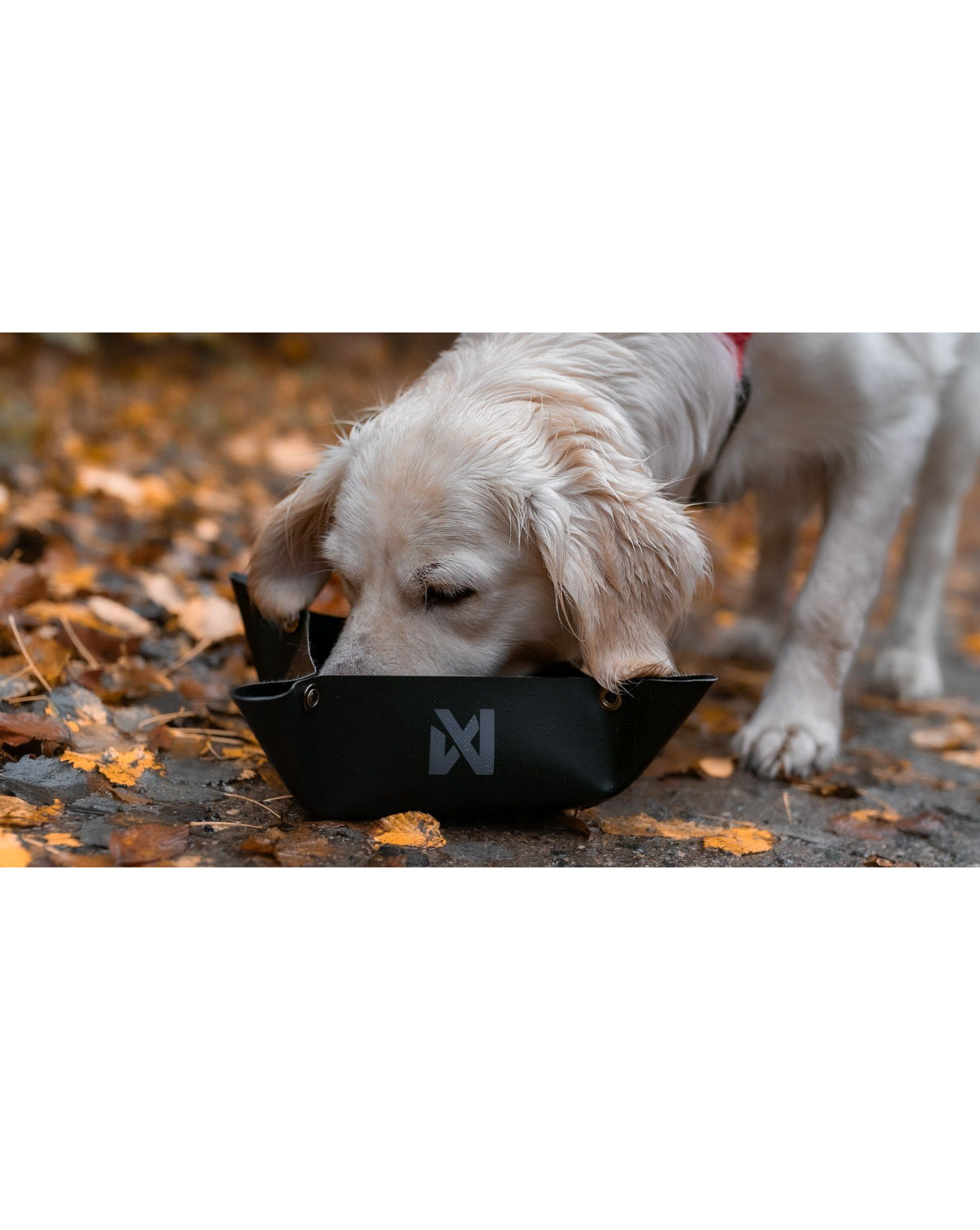 Trekking Bowl