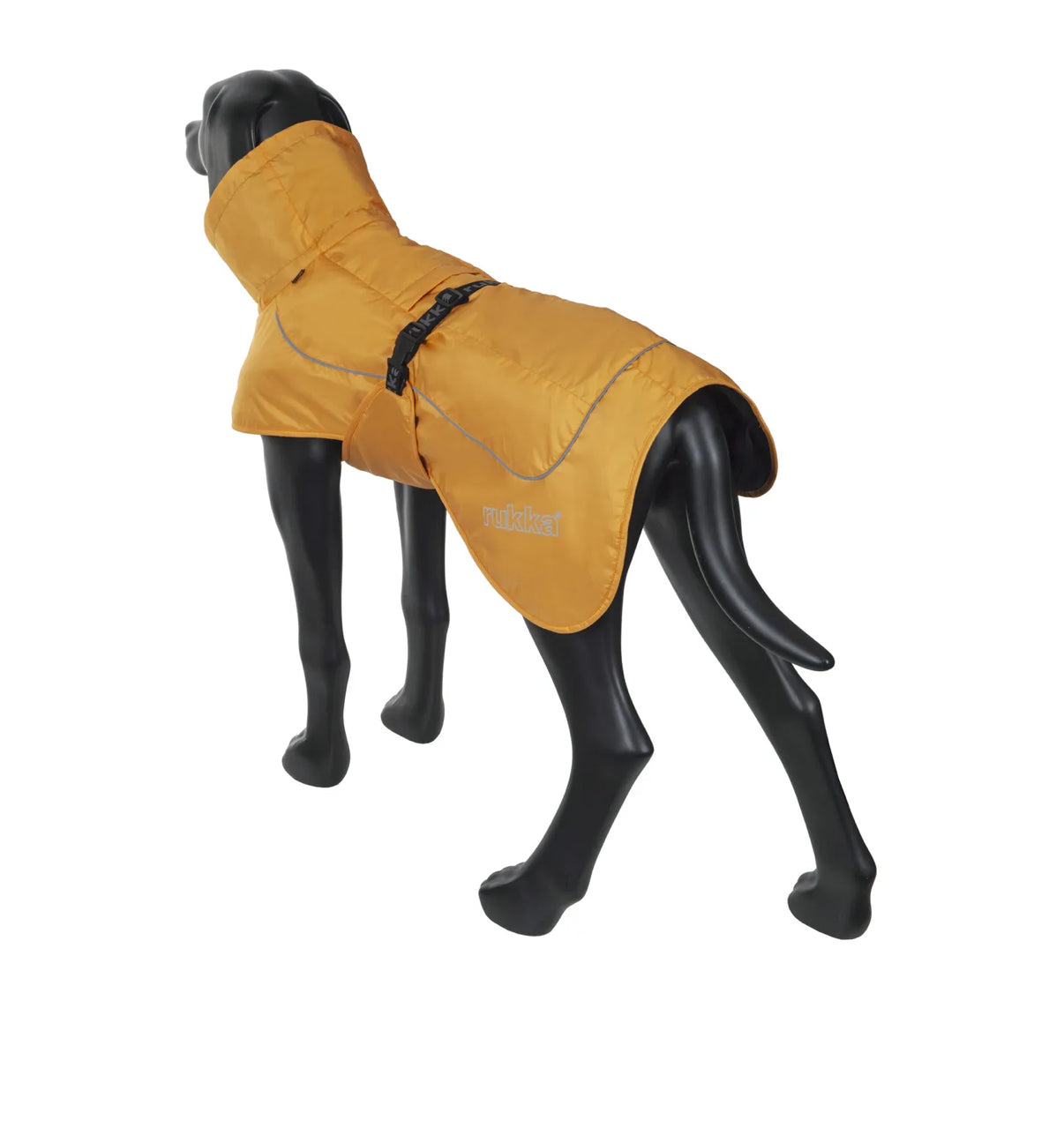 Stormy Coat Apricot