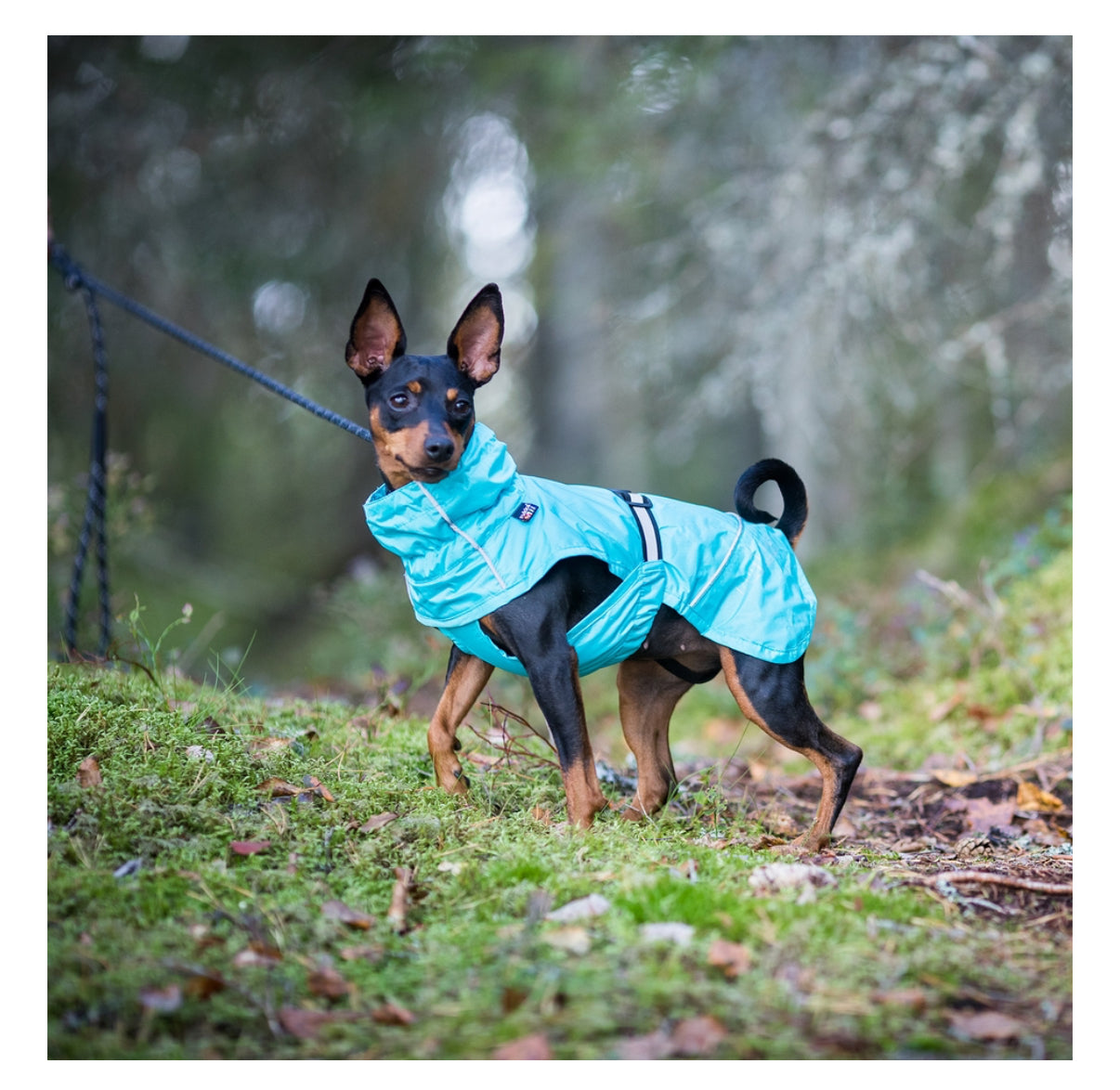 Hase Raincoat Turquoise