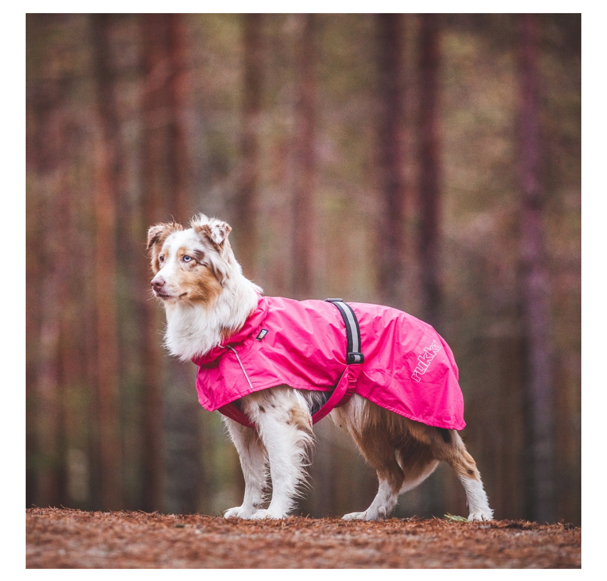 Hase Raincoat Raspberry