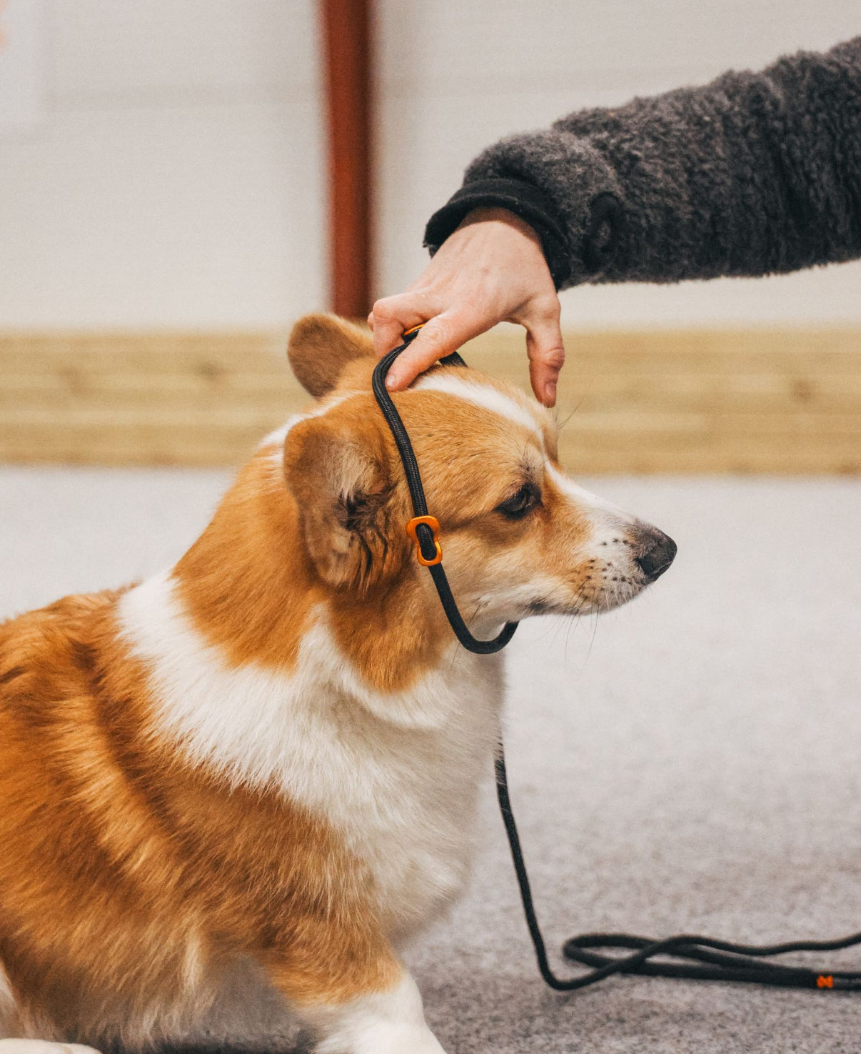 Retriever Leash