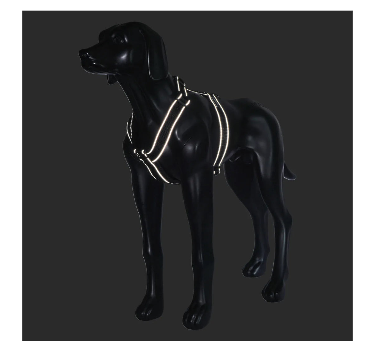 Form Harness