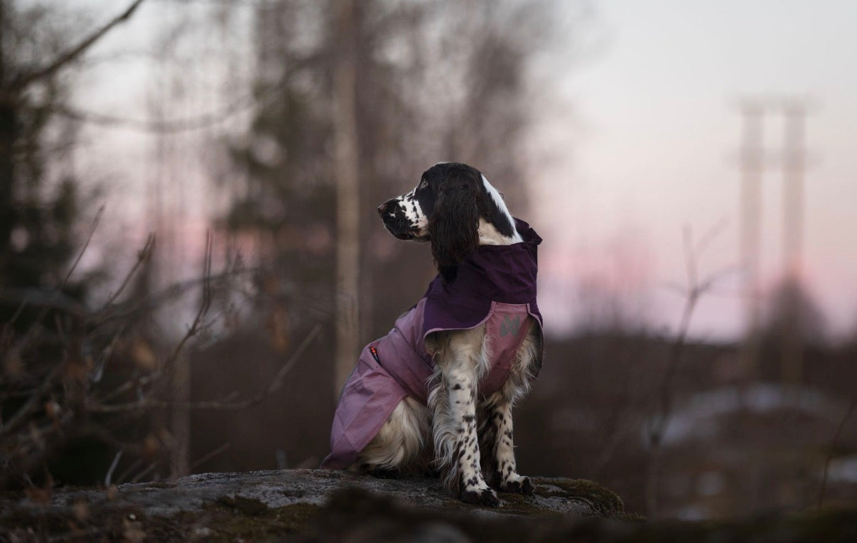 Fjord Raincoat 2.0 Mauve