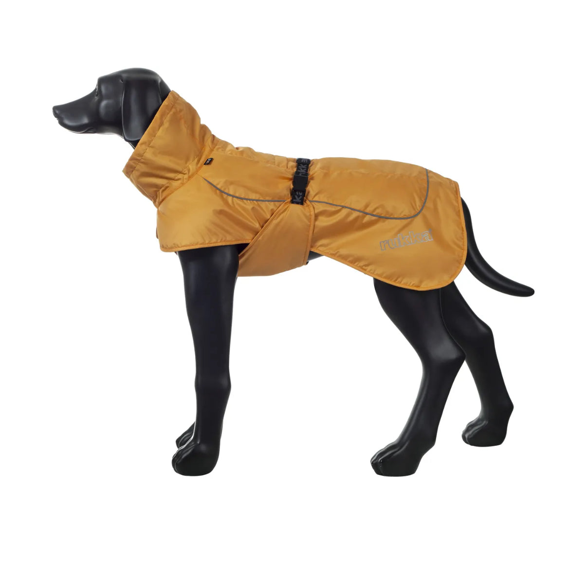 Stormy Coat Apricot