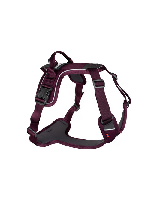 Ramble Harness Purple