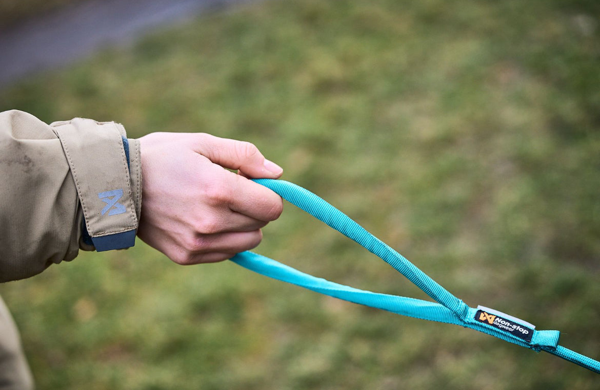 Trekking Rope Leash Teal