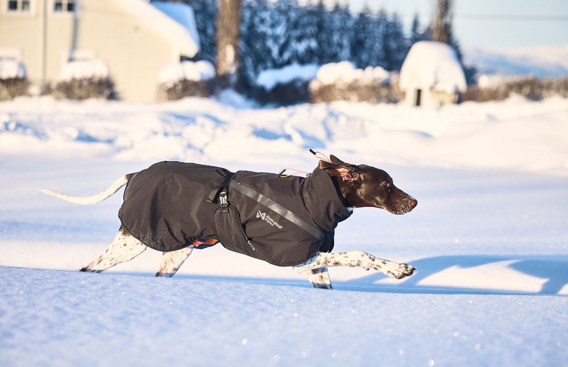 Trekking Insulated Jacket