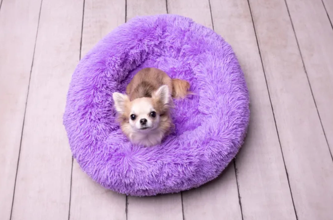 Bleyt donut song lilla 50cm