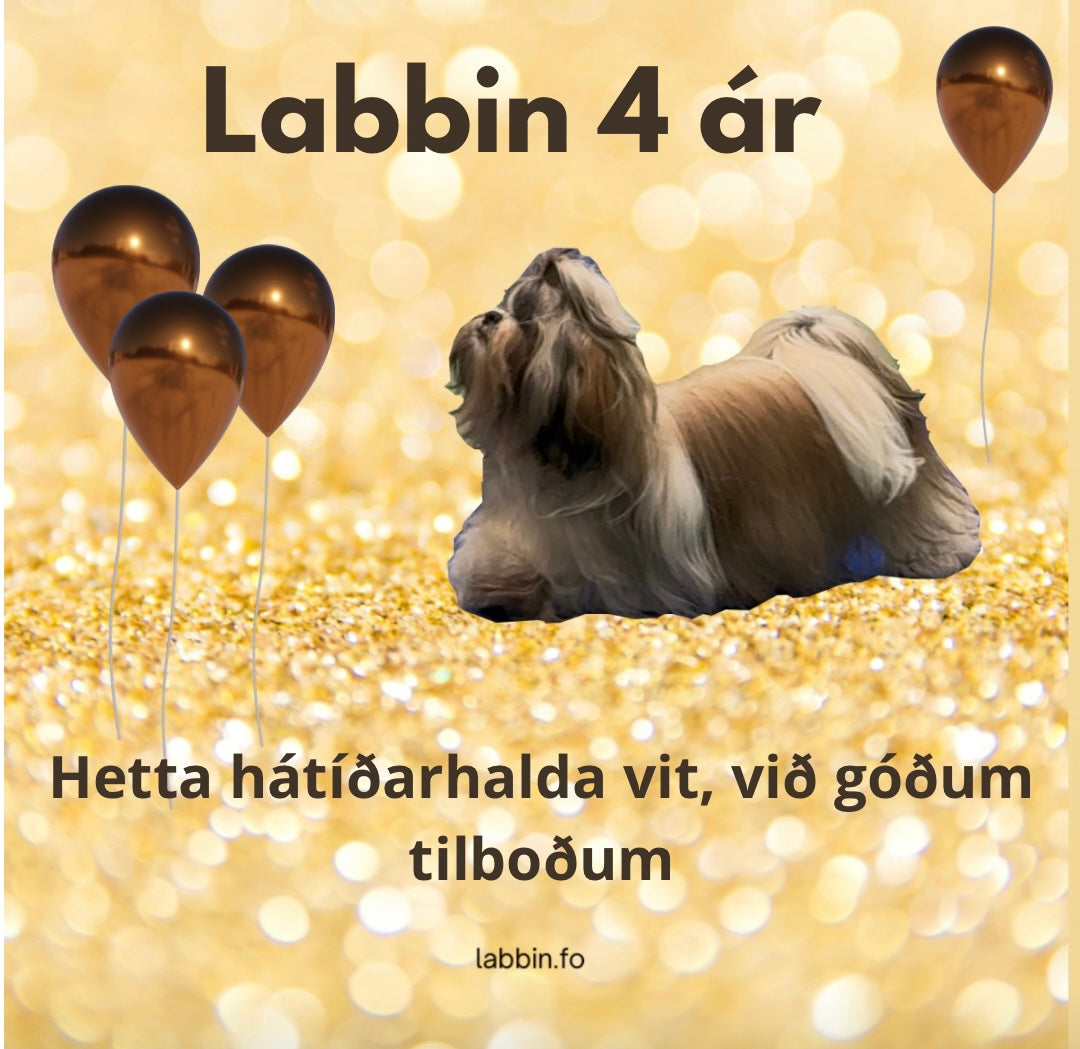 Føðingardagstilboð
