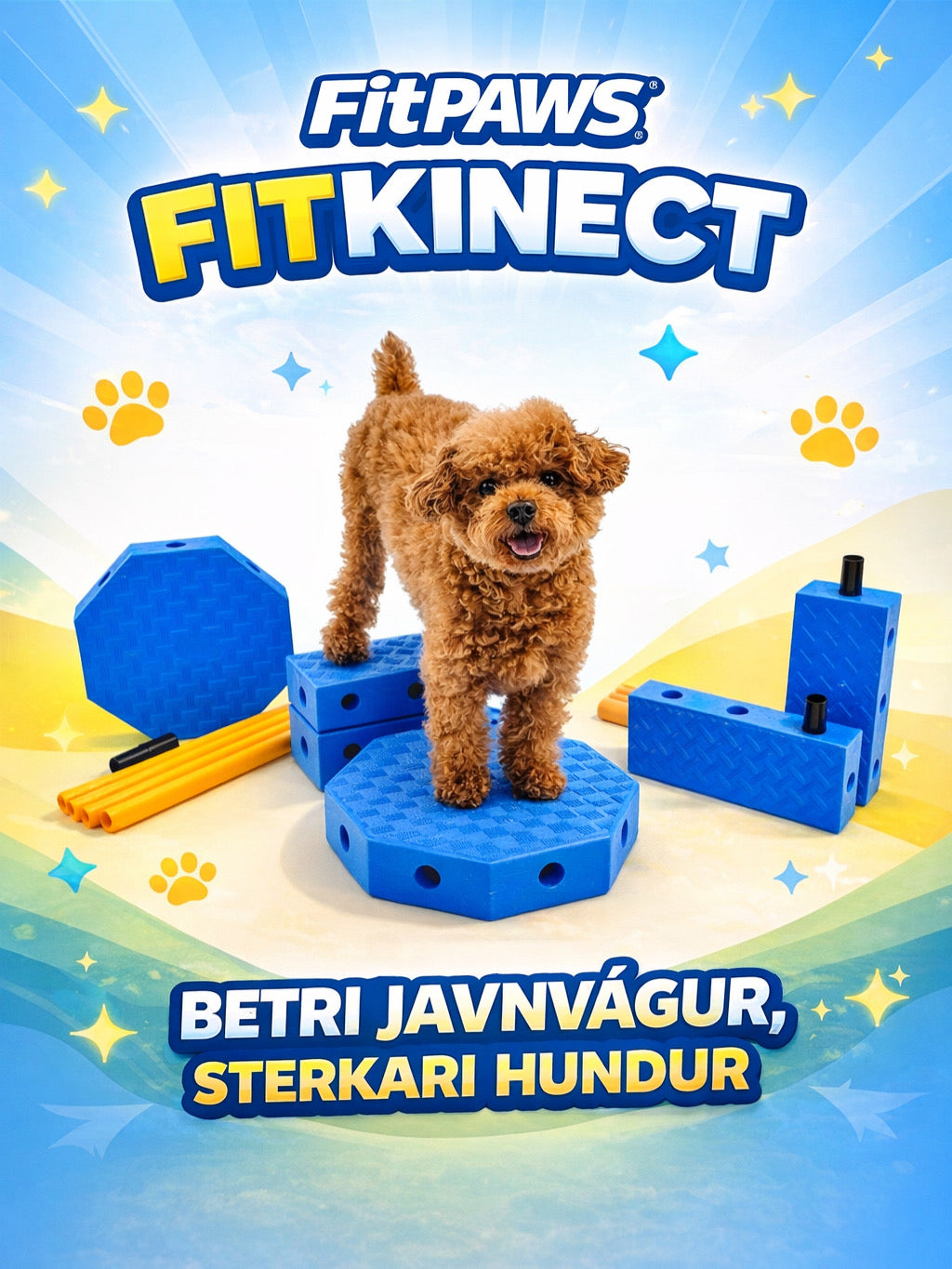 FitPaws