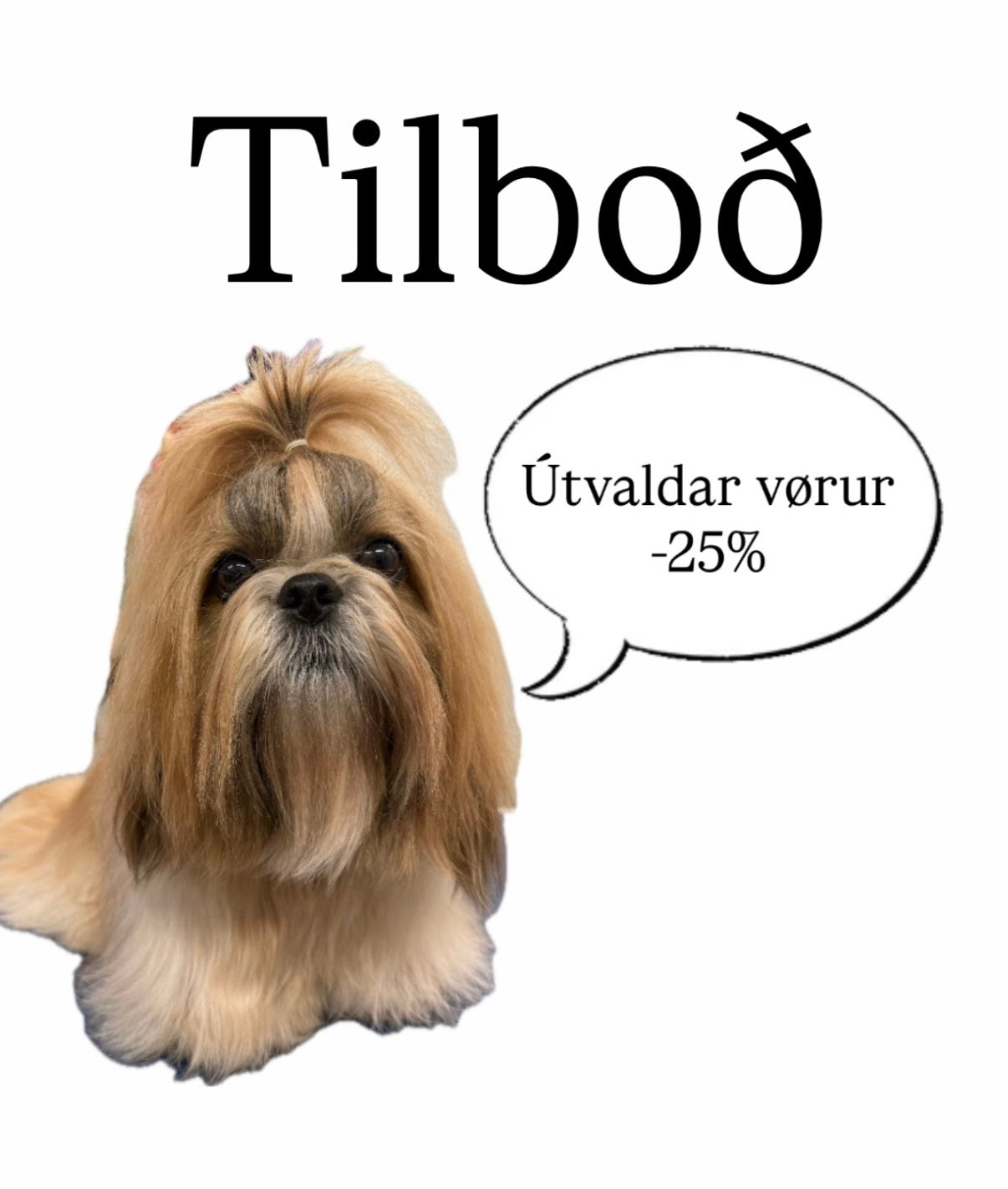 Útvaldar vørur -25%