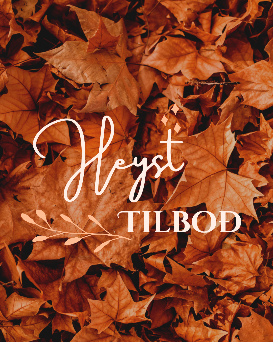Heysttilboð