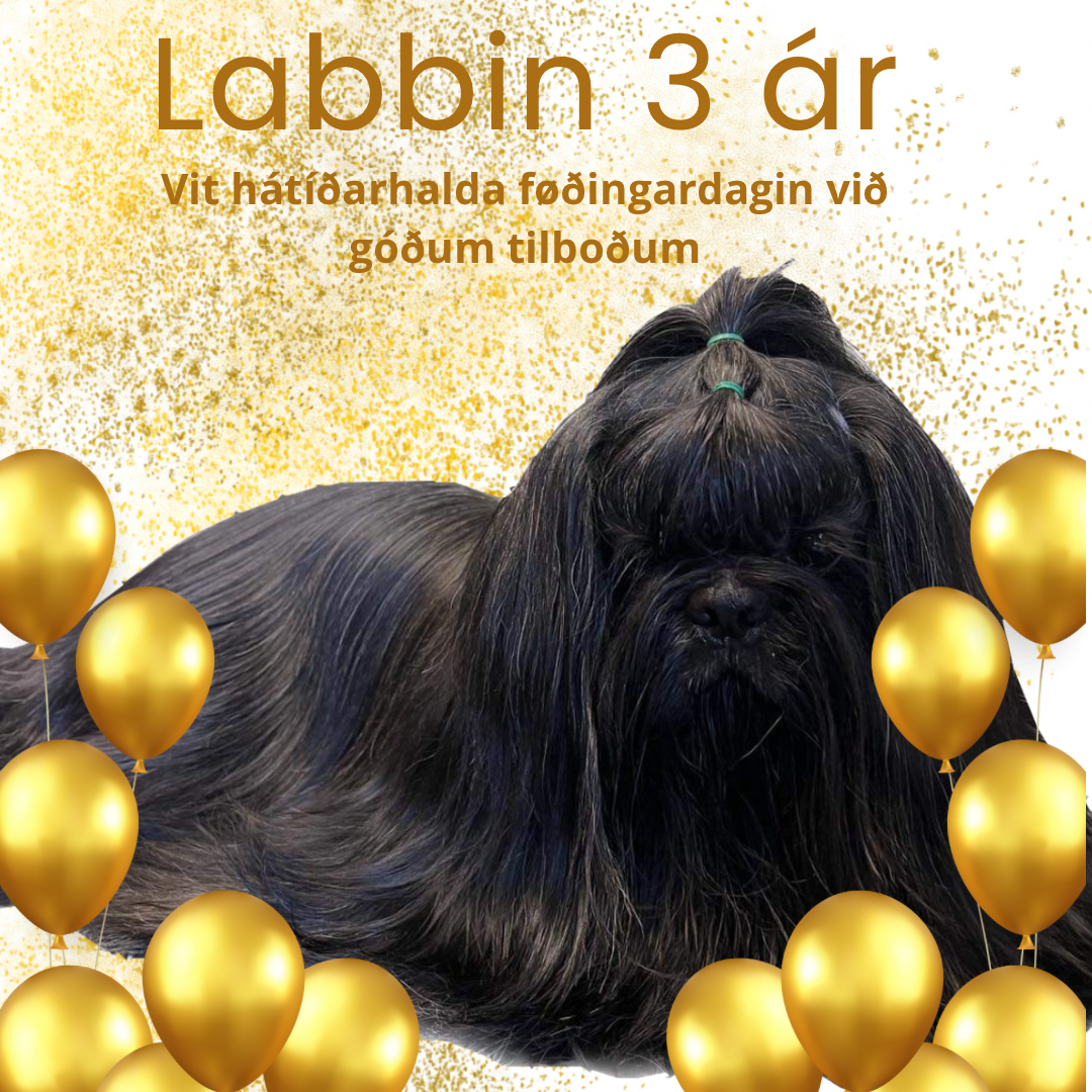 Føðingardagstilboð