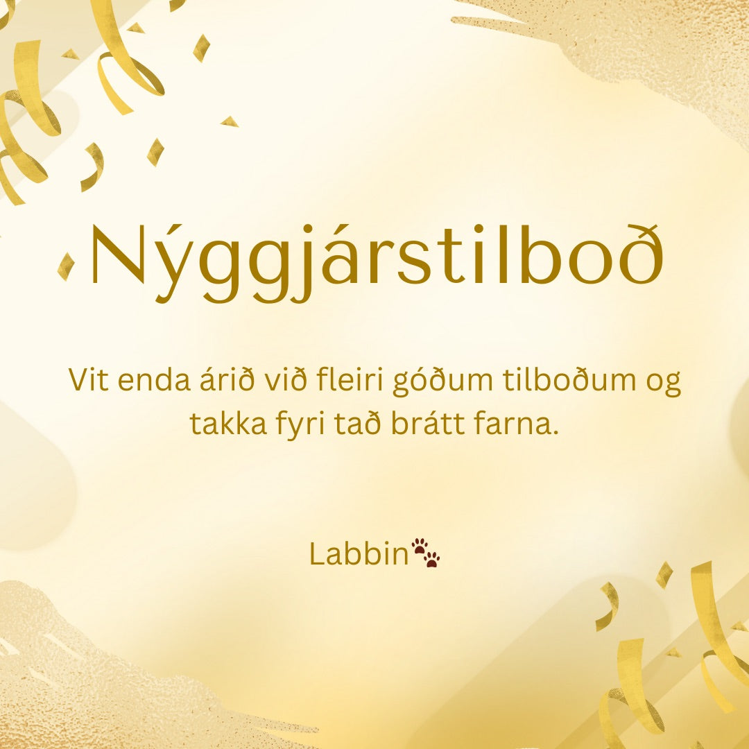 Nýggjárstilboð