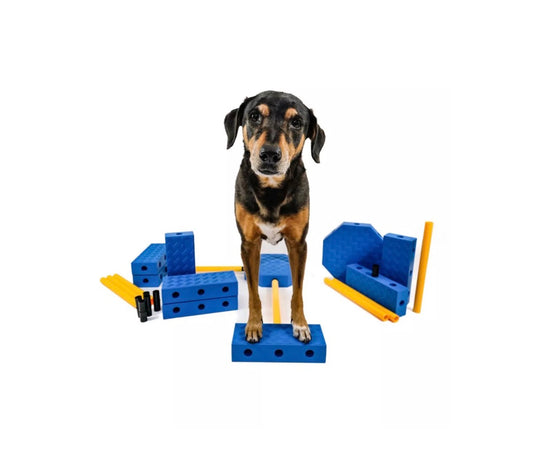 Fitpaws FitKinect Xtra