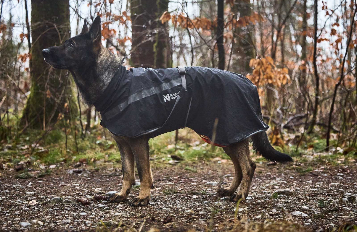 Trekking Raincoat