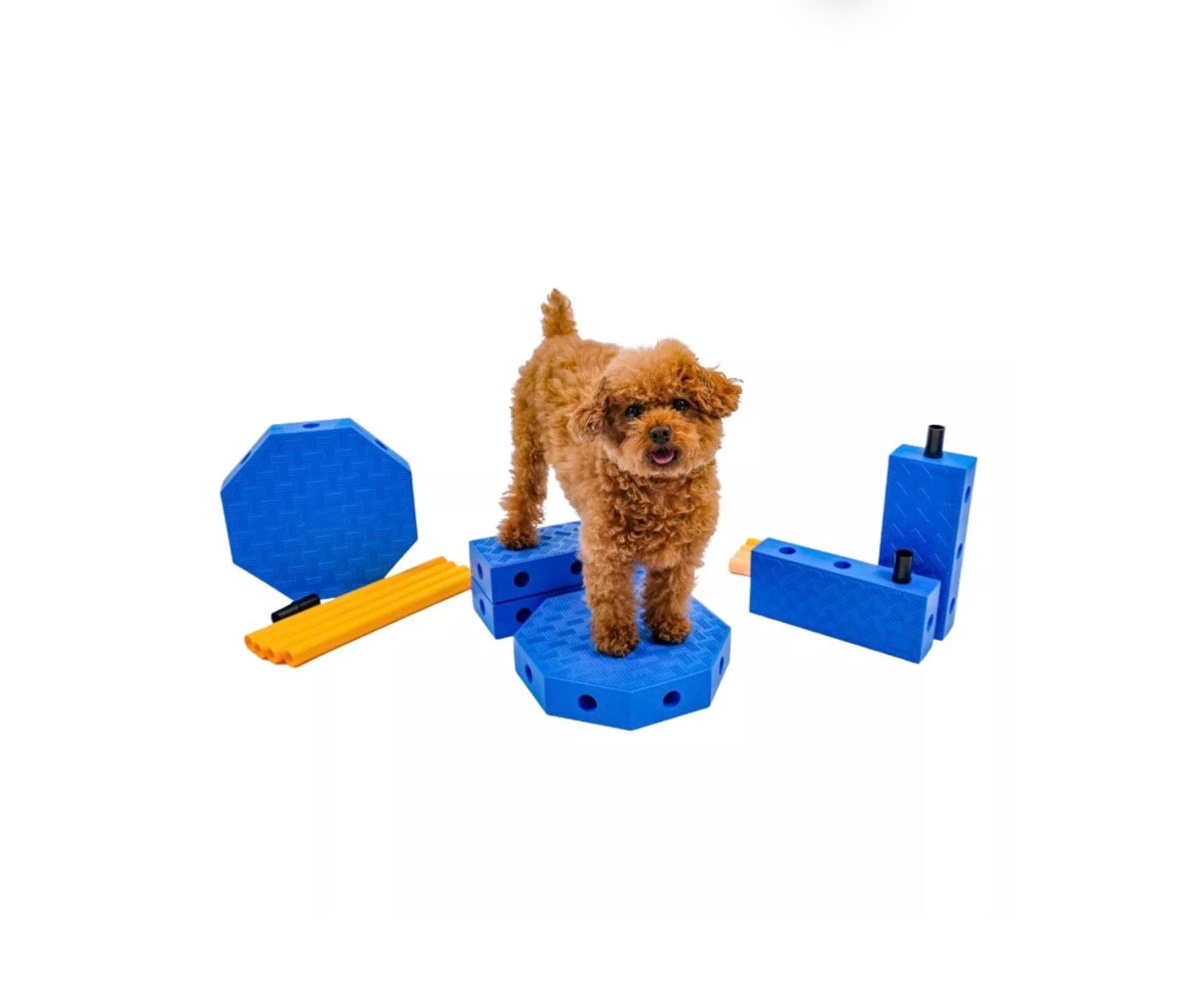Fitpaws FitKinect Core