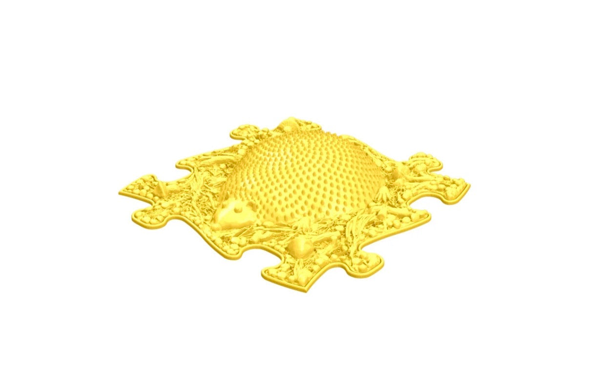 Hedgehog Firm