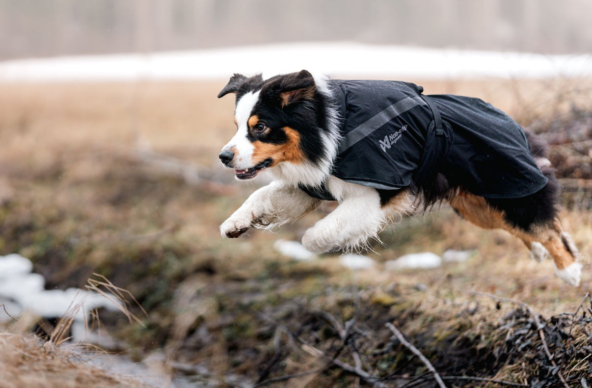 Trekking Raincoat