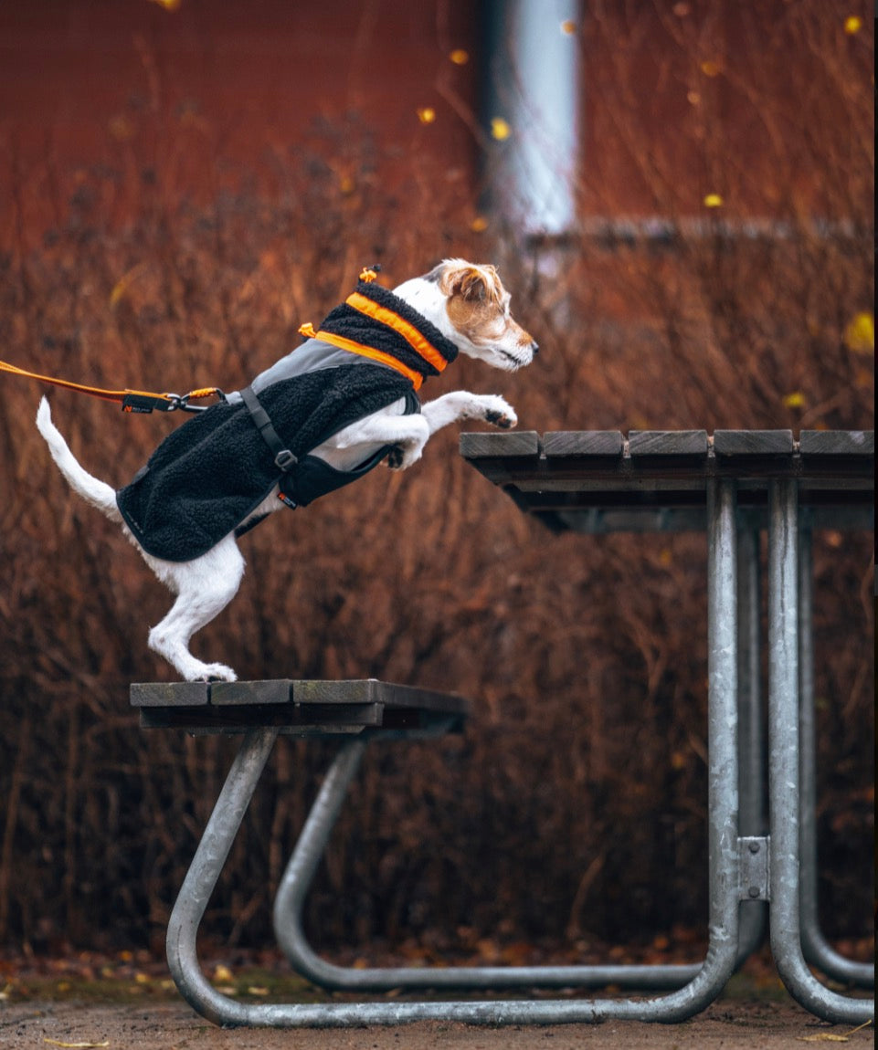 Trekking Fleece Jacket