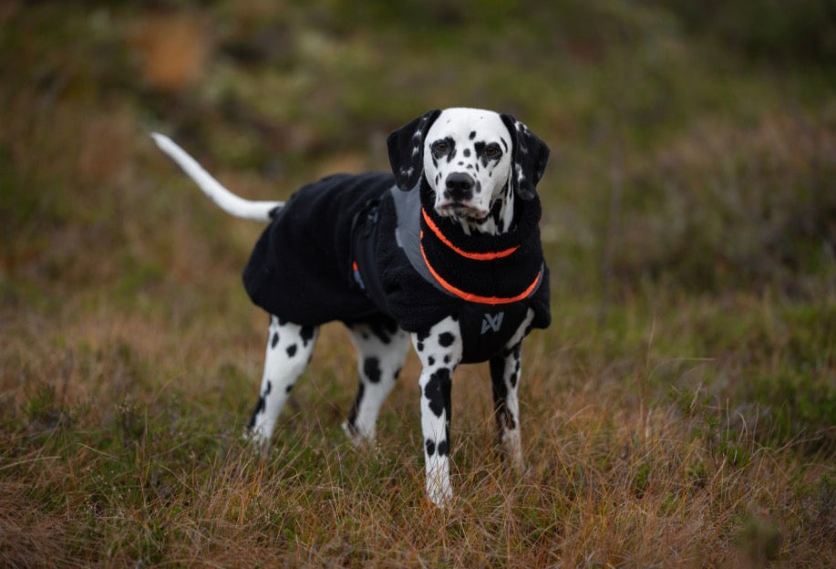 Trekking Fleece Jacket