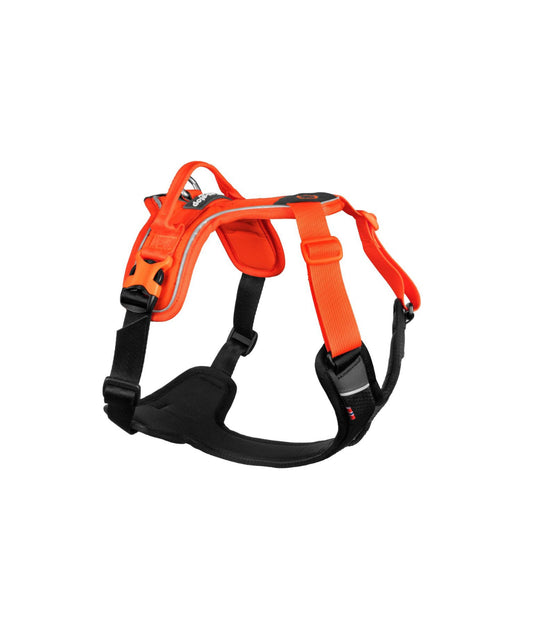 Ramble Harness Orange/Black