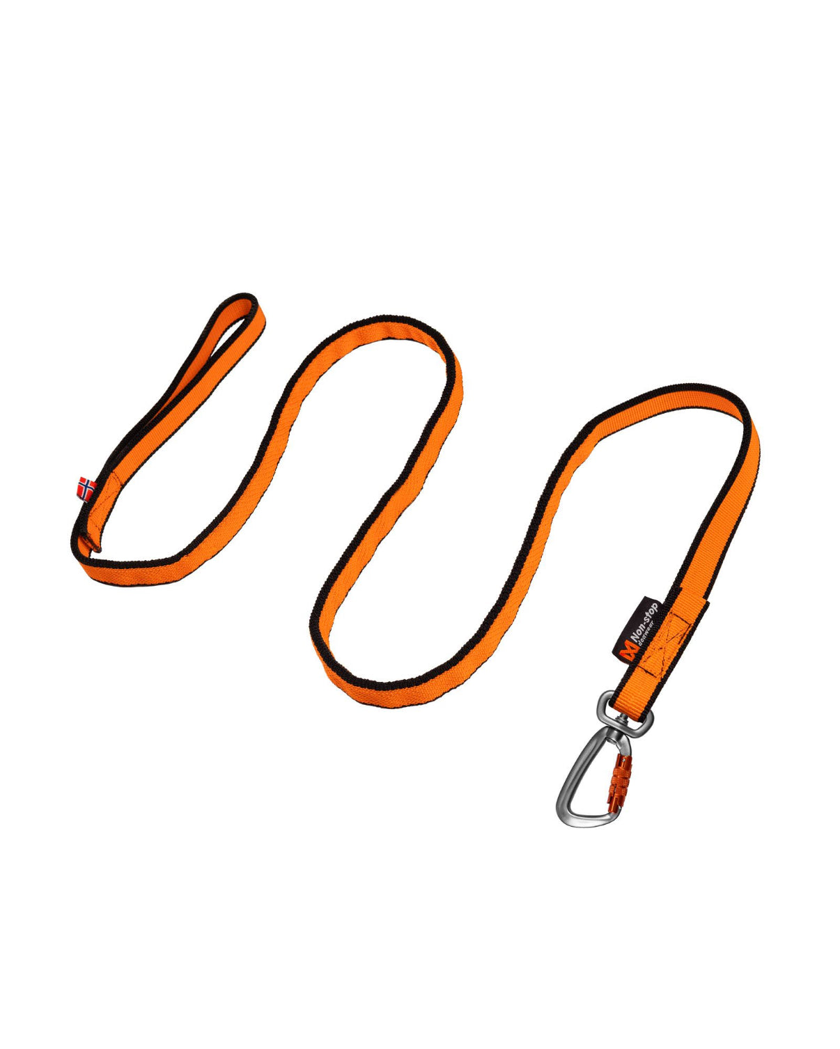Bungee Leash