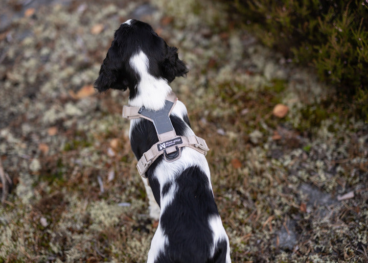 TREKKING LINE HARNESS CLIP'N™ SAND