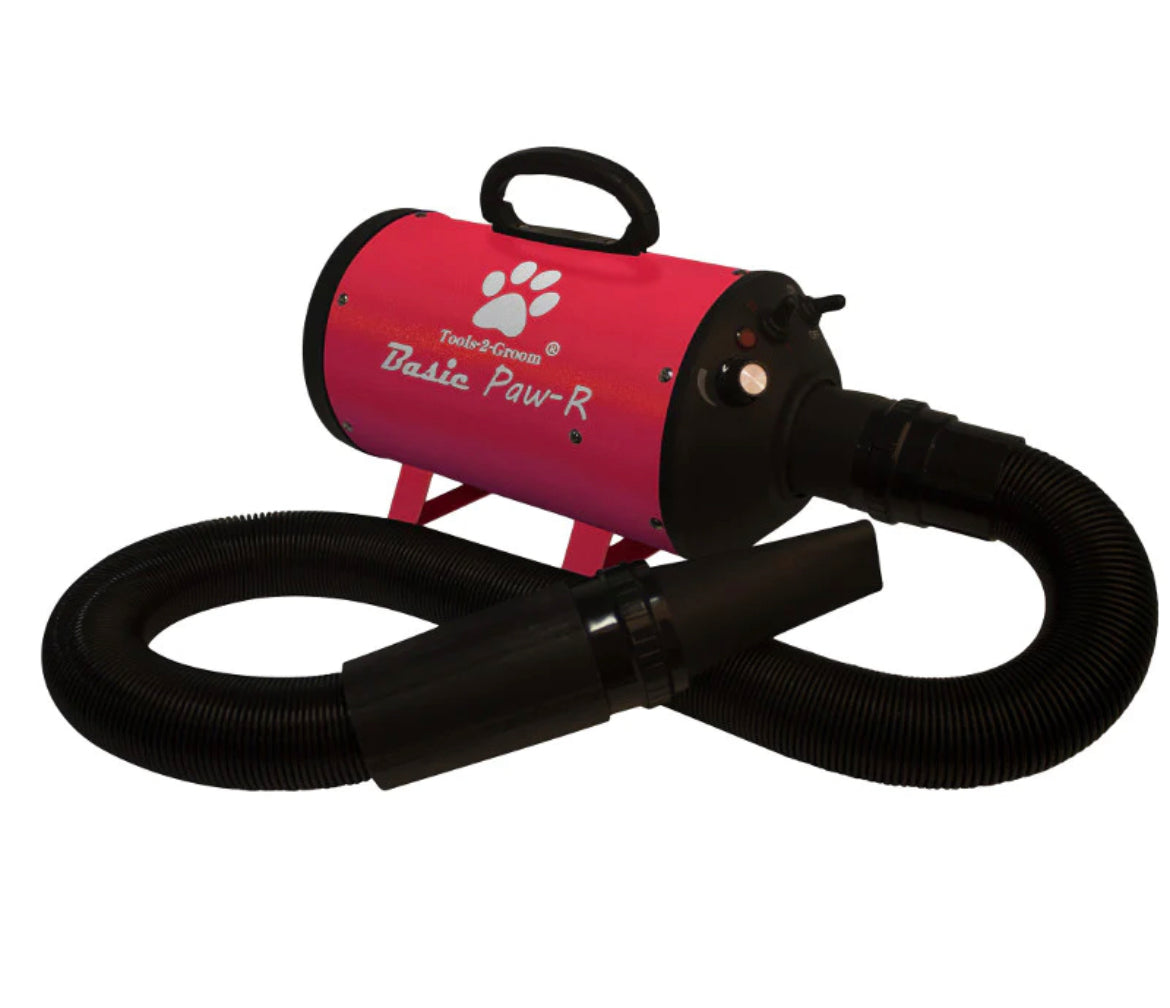 Paw-r Basic Blower 2200W