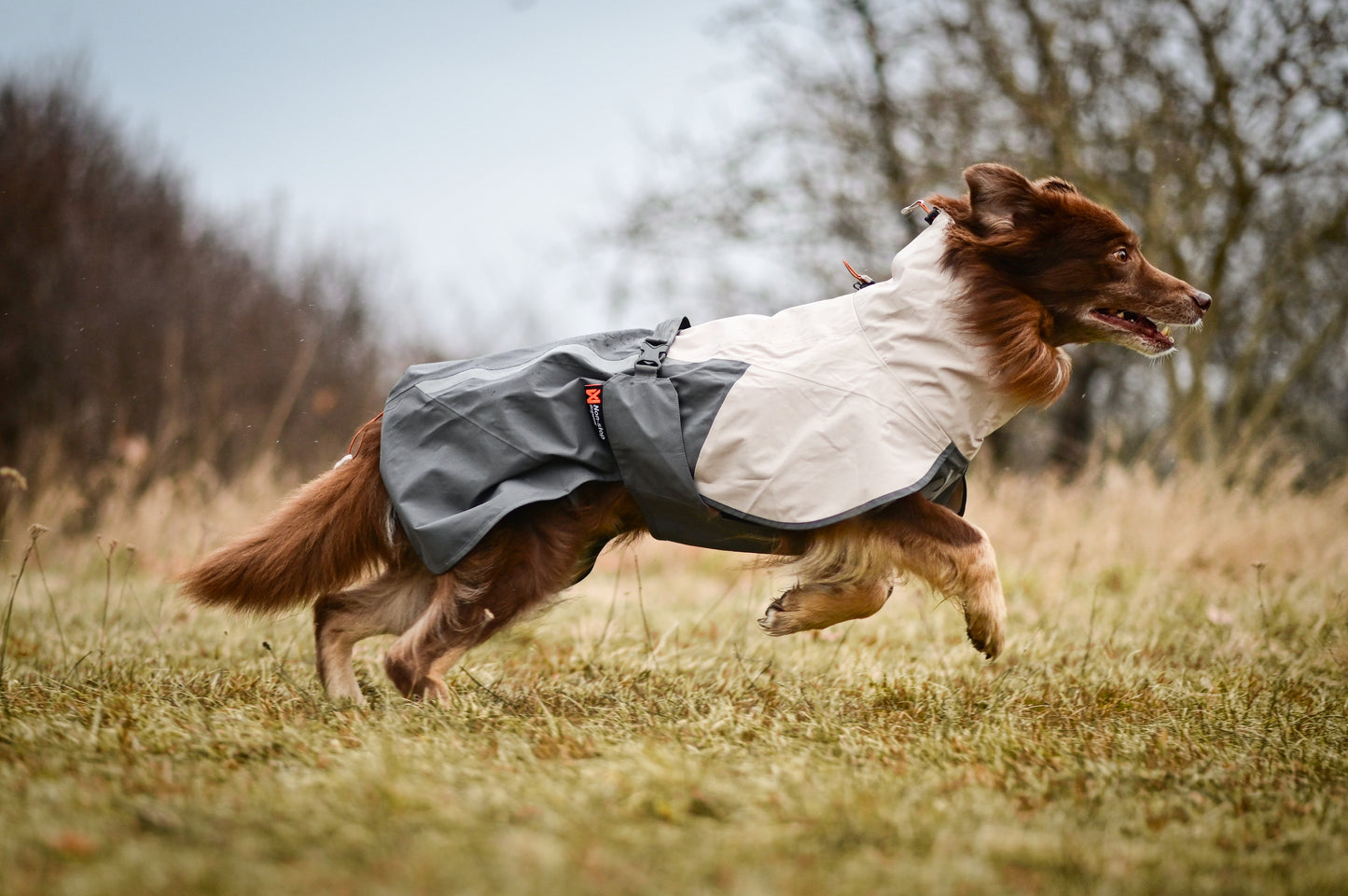 Fjord Raincoat 2.0 Gray