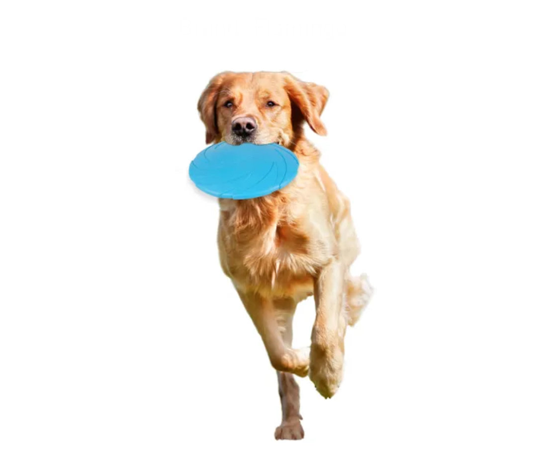 Frisbee ø22cm