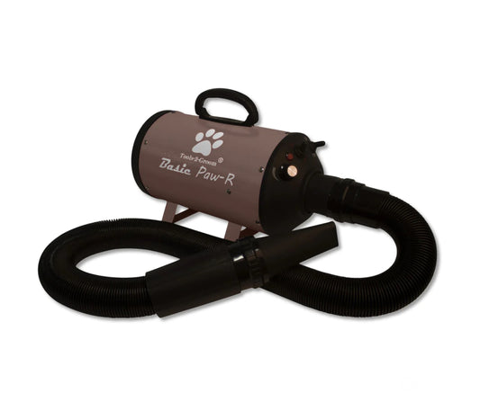 Paw-r Basic Blower 2200W