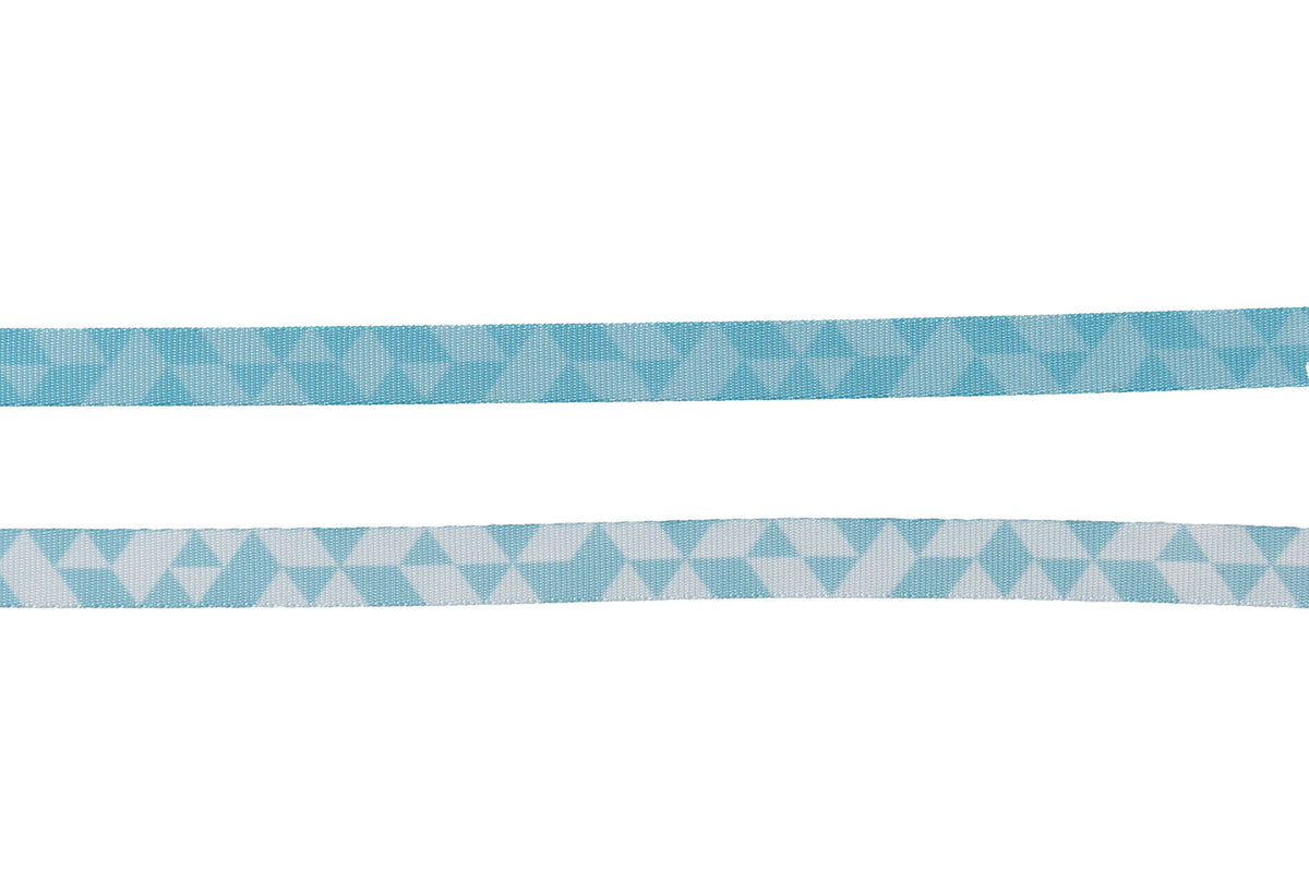 TRAIL QUEST LEASH ICE BLUE