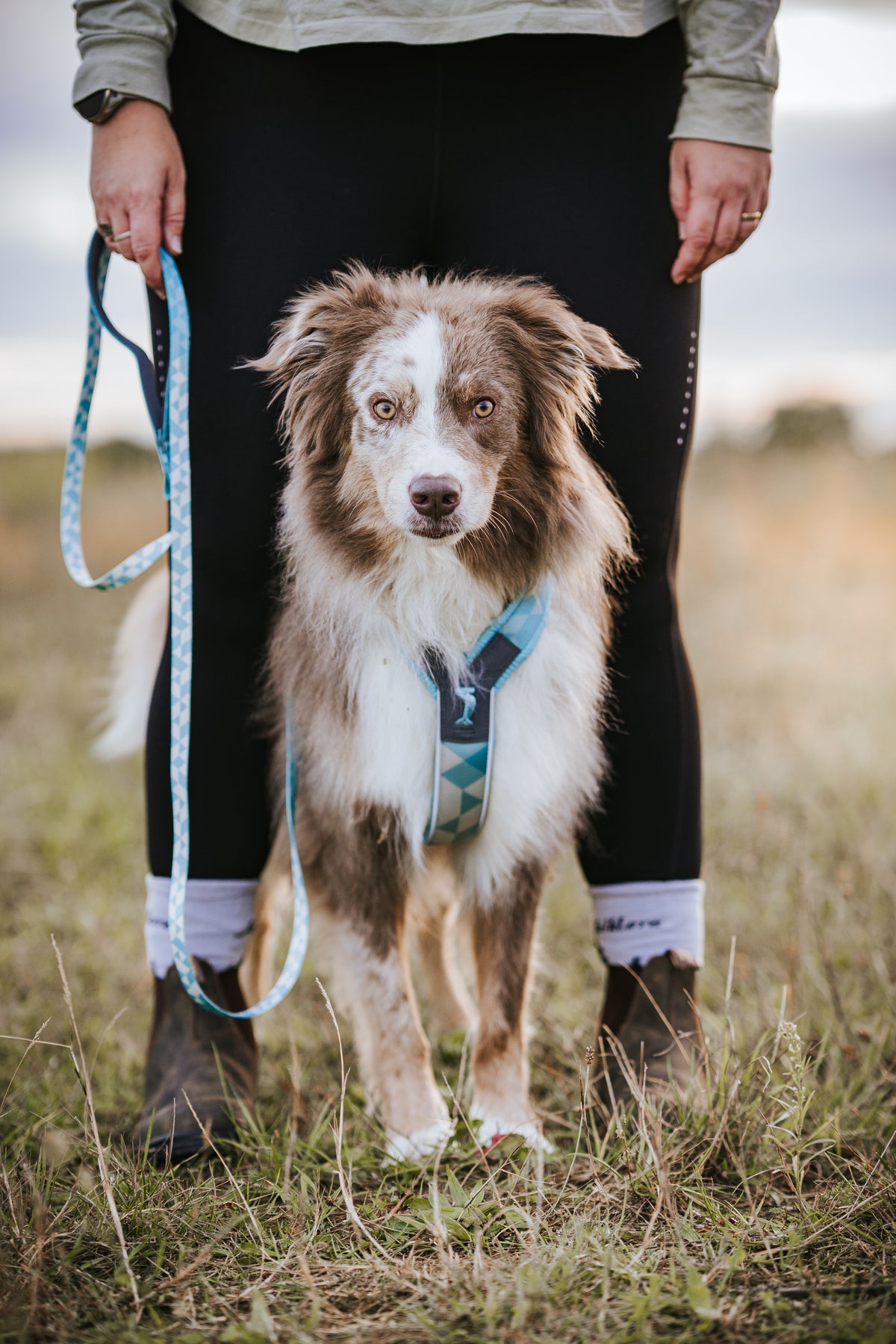 TRAIL QUEST LEASH ICE BLUE